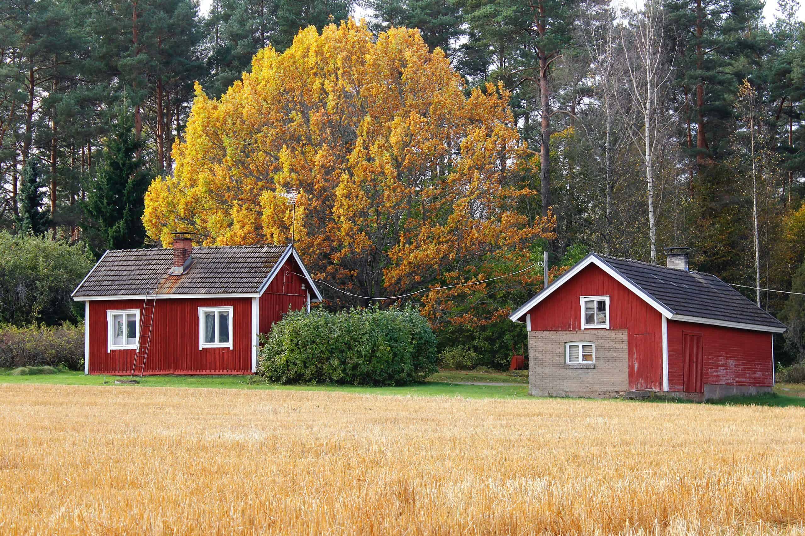 Two little red houses by the road in Humppila.