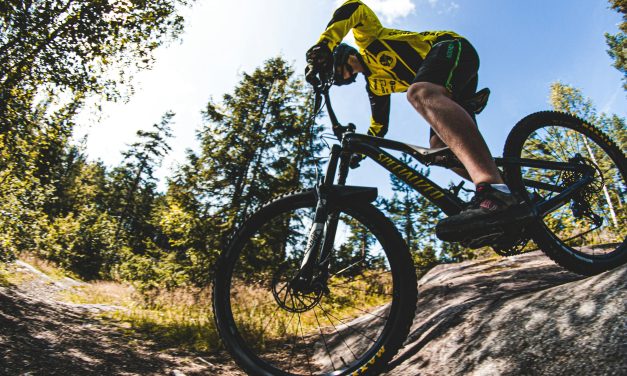 Biking Dalarna fortsätter att växa – Vansbro kommun ansluter sig