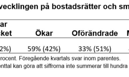 Mäklarna optimistiska om uppsving i höst