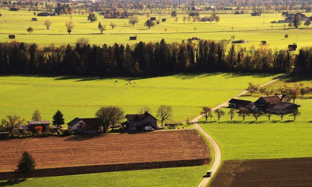 Sifo: Trygghet får oss att välja land före stan