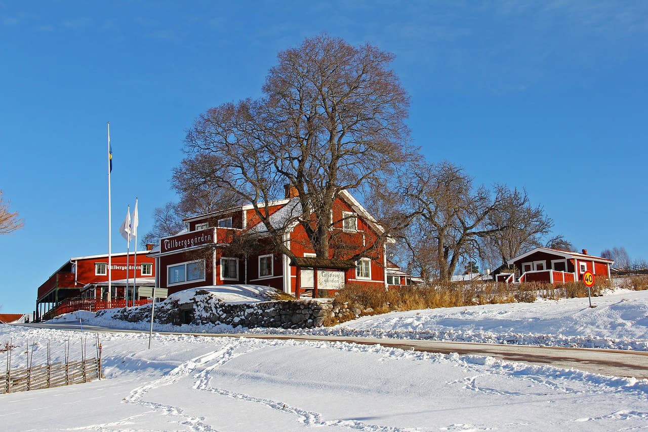 snow, winter, cold