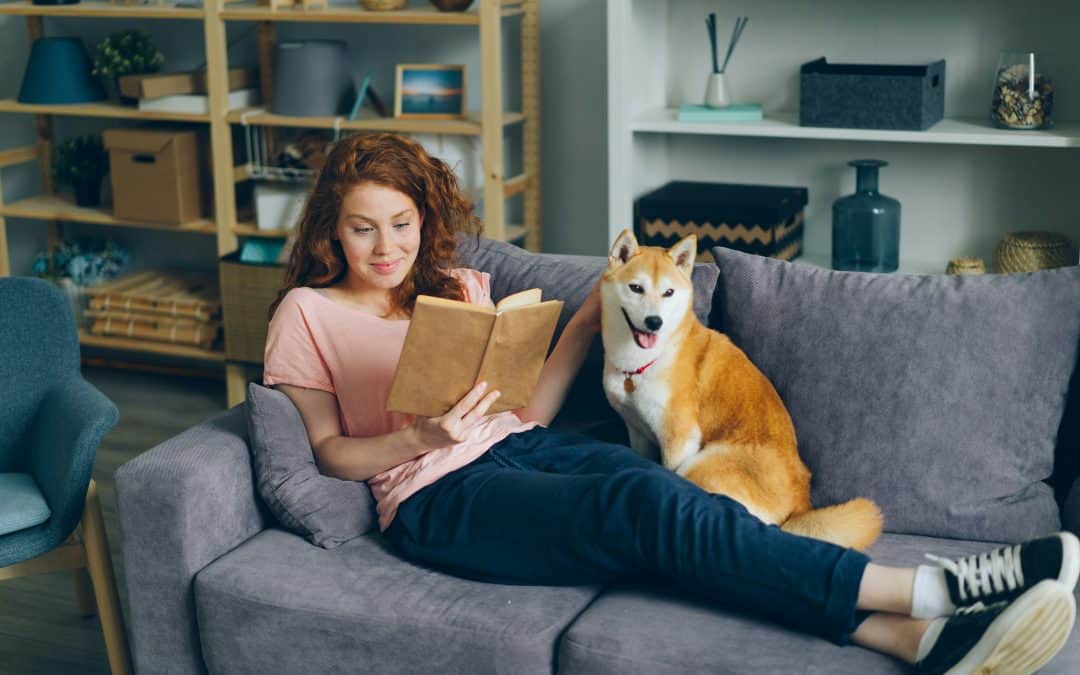 Pretty young woman reading book and caressing dog sitting on couch at home