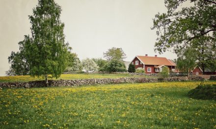 Här är det dyrast och billigast att bo i hus