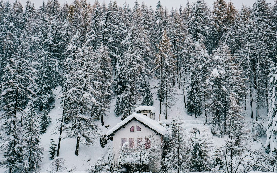 House winter forest