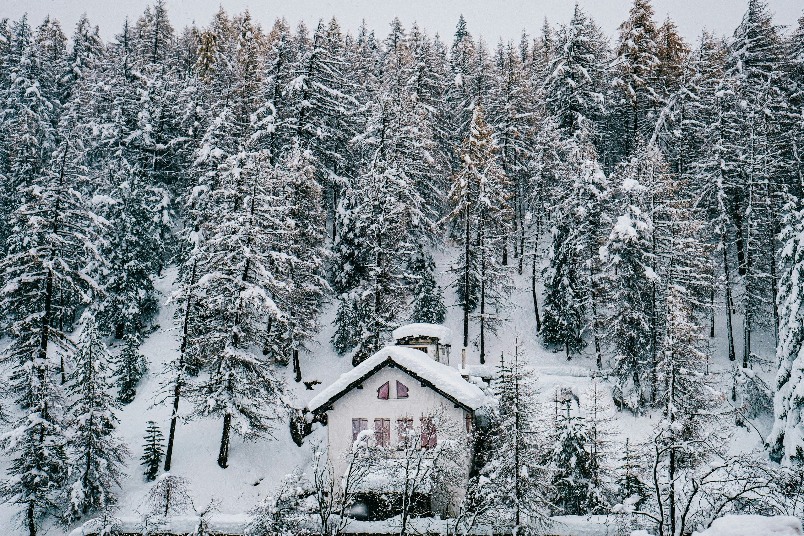 House winter forest