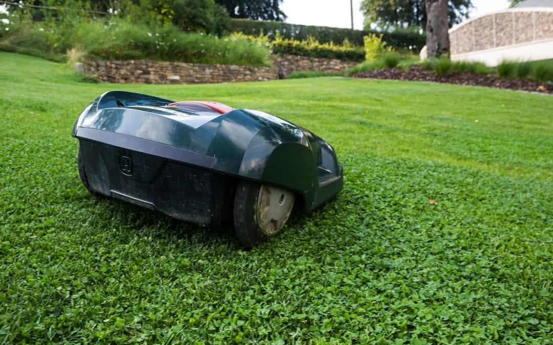 lawn mower, robot, nature, grass, robotic lawnmower, automatically, lawn, estate, landscape design, labor, mowing, electric, garden, lawn mower, lawn mower, lawn mower, lawn mower, lawn mower, robot, lawn