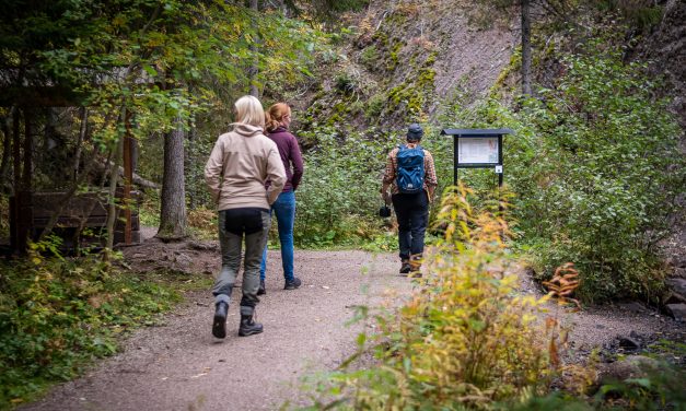Turisterna omsätter 12 miljarder i Dalarna
